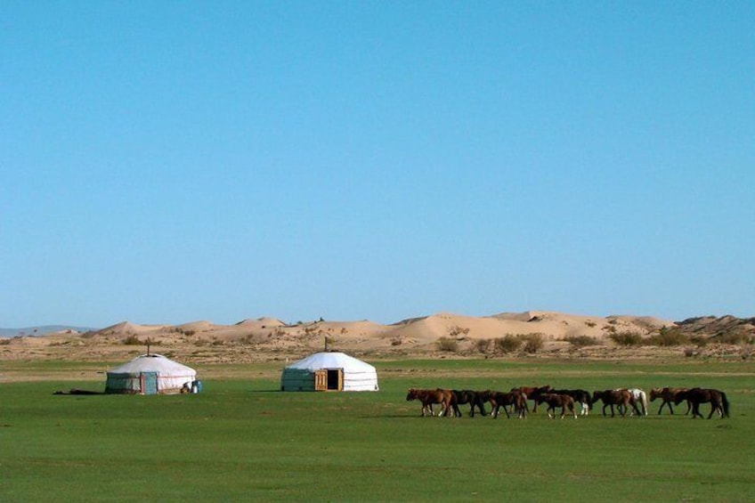 3 Days Three different natural zone and Ancient capital city