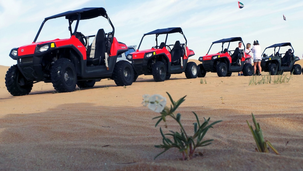sand buggies lined up in Dubai