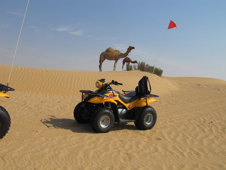 Desert Adventure Combo Tour: Quad Bike, Sandboarding & Camel Safari