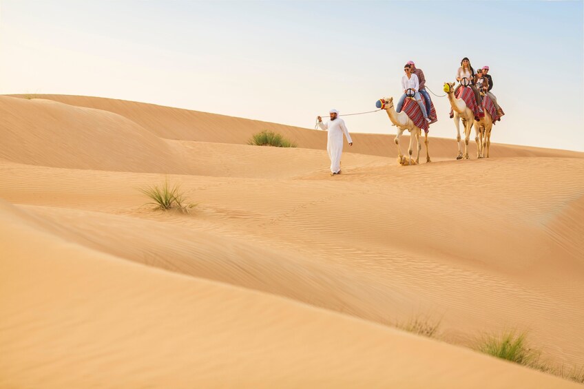 Heritage Camel Safari