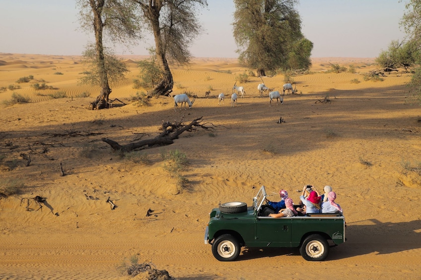 Heritage Desert Safari