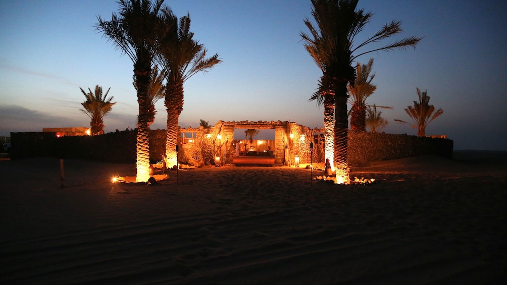 Show item 3 of 10. palm trees lit up at entrance to Dubai Desert Conservation Reserve