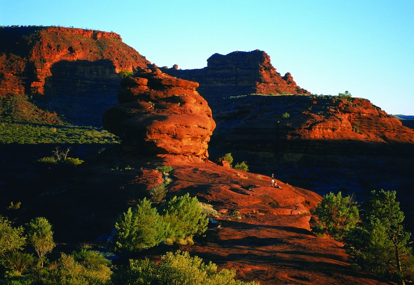 Palm Valley Outback Safari 4x4 Day Tour