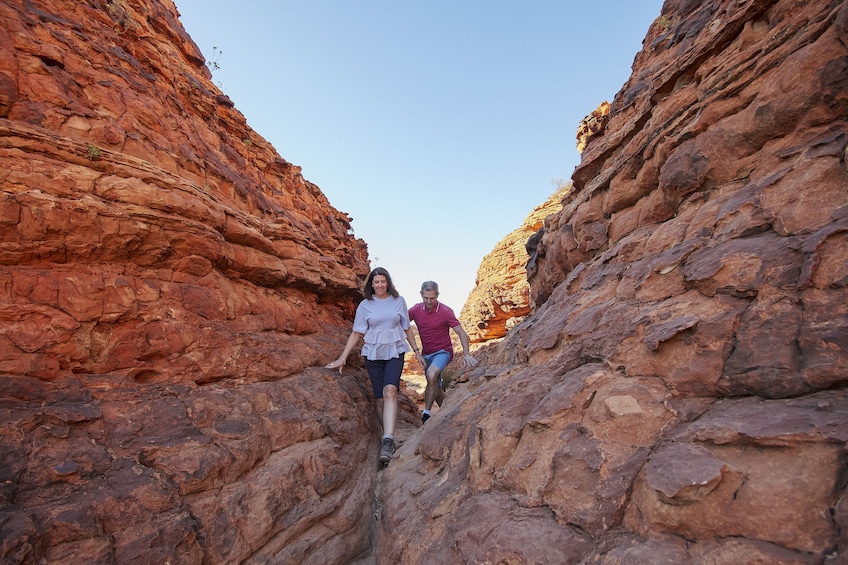 Kings Canyon Scenic Climb Half-Day Tour