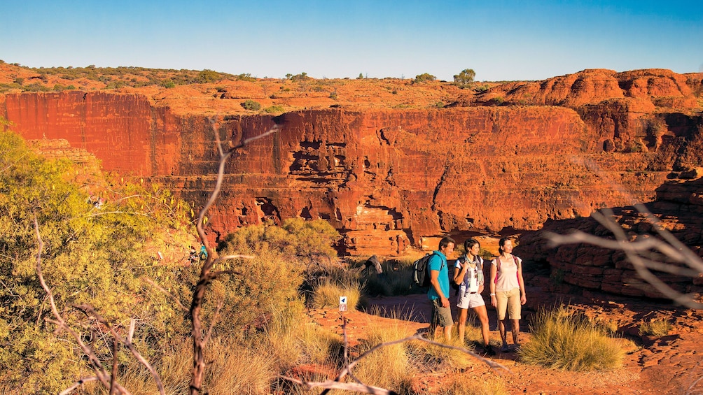 Group walking in Kings Canyon in Central Australia