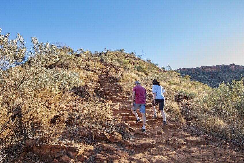 Kings Canyon Scenic Climb Half-Day Tour