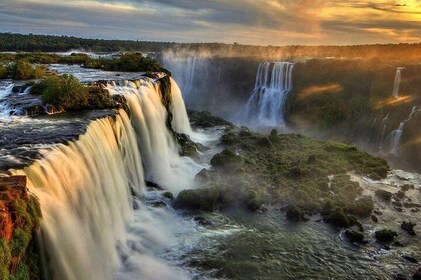 Itaipu Dam & Bird Park & Iguassu Falls Brazilian Side - Private Tour