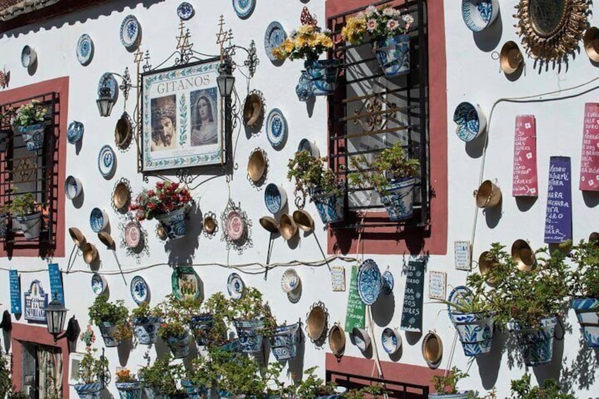 Panoramic Private Guided Tour by Car with Photo Stops in Granada