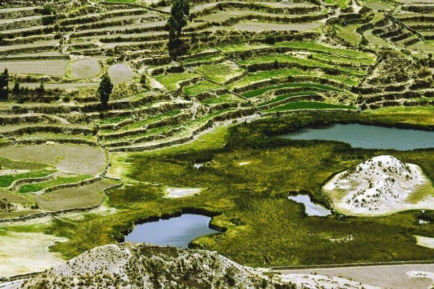 Colca canyon full day + buffet lunch