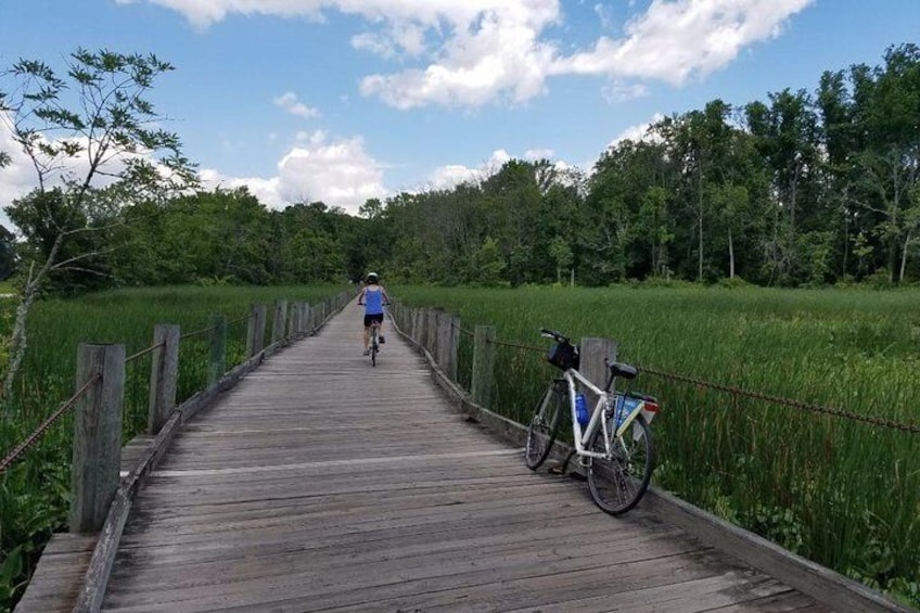 Alexandria VA Bike Rentals