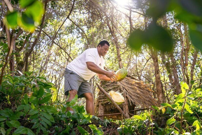 Coconut Husking in "Samoa"