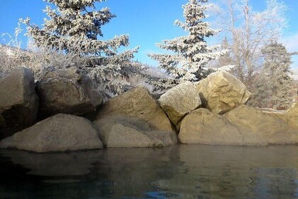 Chena Hot Springs Round Trip Tour