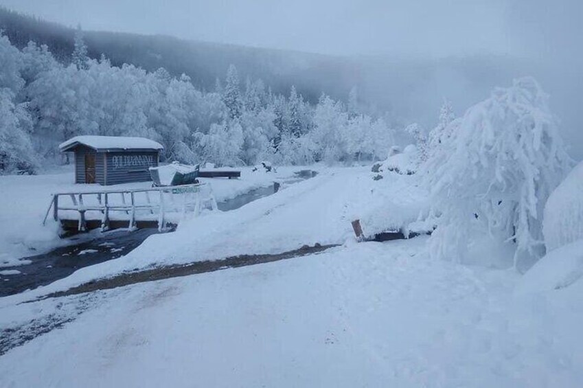 Chena Hot Springs Round Trip Tour