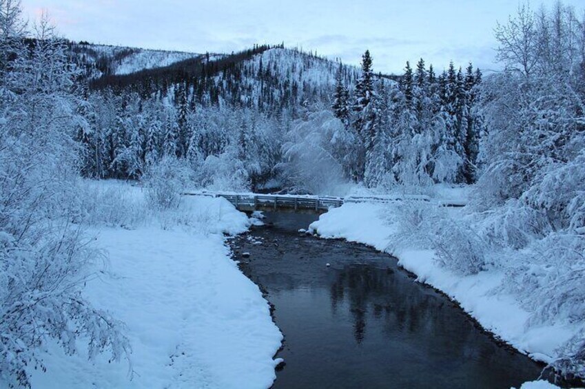 Chena Hot Springs Round Trip Tour