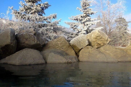 Chena Hot Springs Round Trip Tour