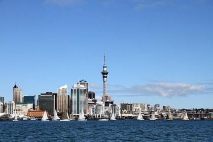 Private Auckland City Tour For Small Group in a luxury vehicle.