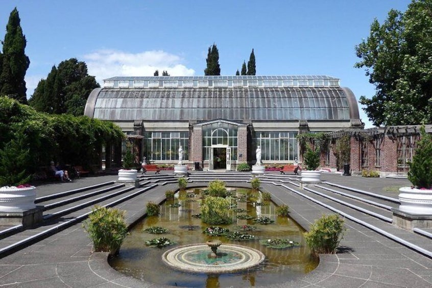 Auckland Winter Garden 