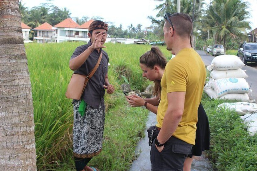 Subak cooking class (Balinese cooking school) 9 Dish Cooking and Market Tour