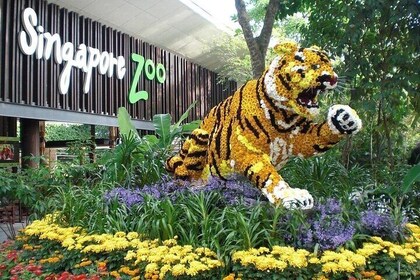 Wondrous Wildlife @ Singapore Zoo + Roundtrip Transfers