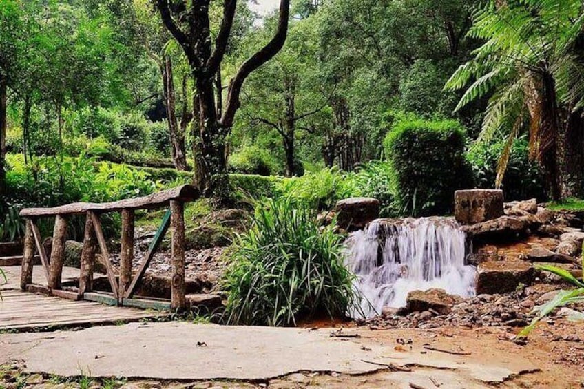 Godawari Botanical Garden