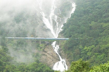 Dudhsagar Falls – The Beauty of Goa