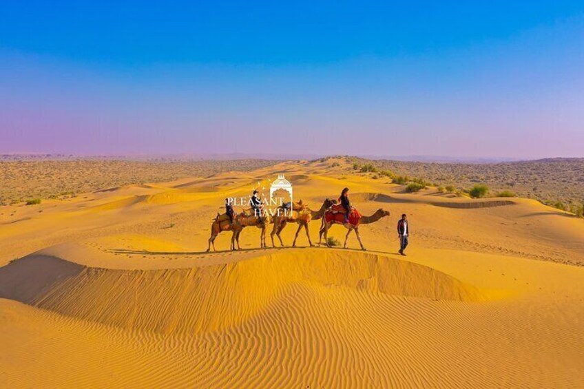 Pleasant Sunset Safari With Dinner On Dunes (From 2:00 PM to Approx. 10:00 PM)