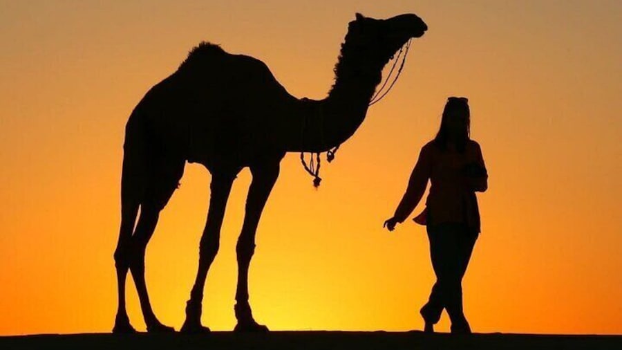 Pleasant Sunset Safari With Dinner On Dunes