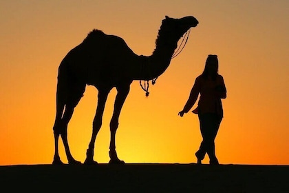 Pleasant Sunset Safari With Dinner On Dunes (From 2:00 PM to Approx. 10:00 ...