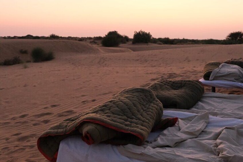 Become a Desert Nomad – Overnight Camel Safari in the Wild