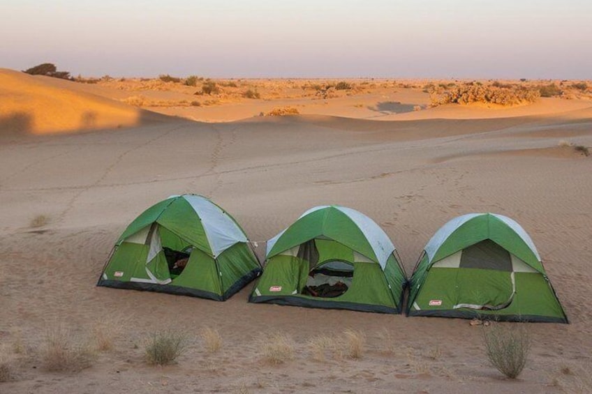 Become a Desert Nomad – Overnight Camel Safari in the Wild