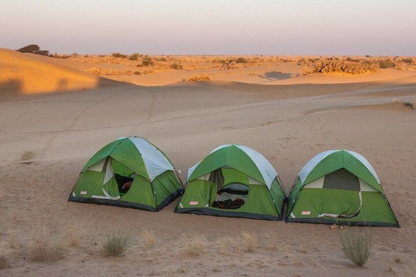 Become a Desert Nomad – Overnight Camel Safari in the Wild