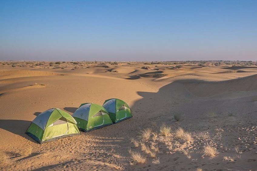 Become a Desert Nomad – Overnight Camel Safari in the Wild