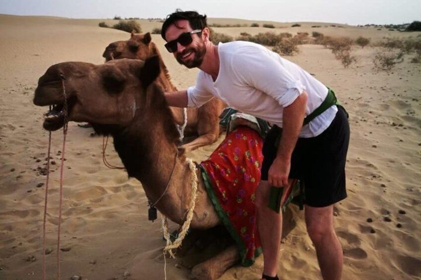 Half-Day Sunset Camel Safari in Rajasthan