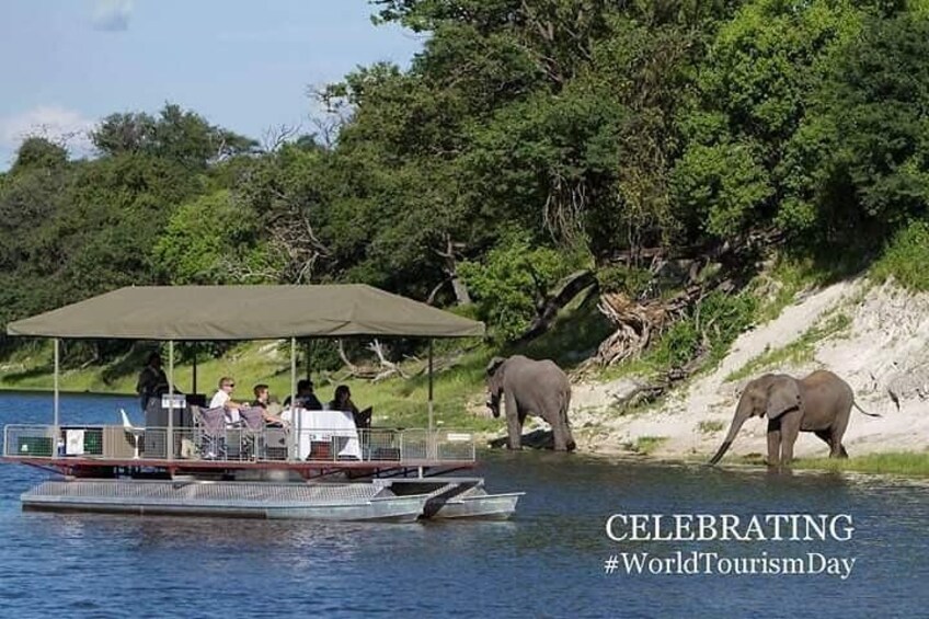 Chobe Day Trip 