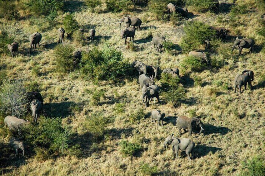 Helicopter Flight Experience Over Victoria Falls