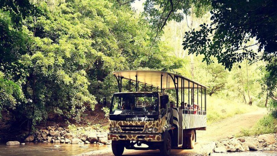 Safari Casela