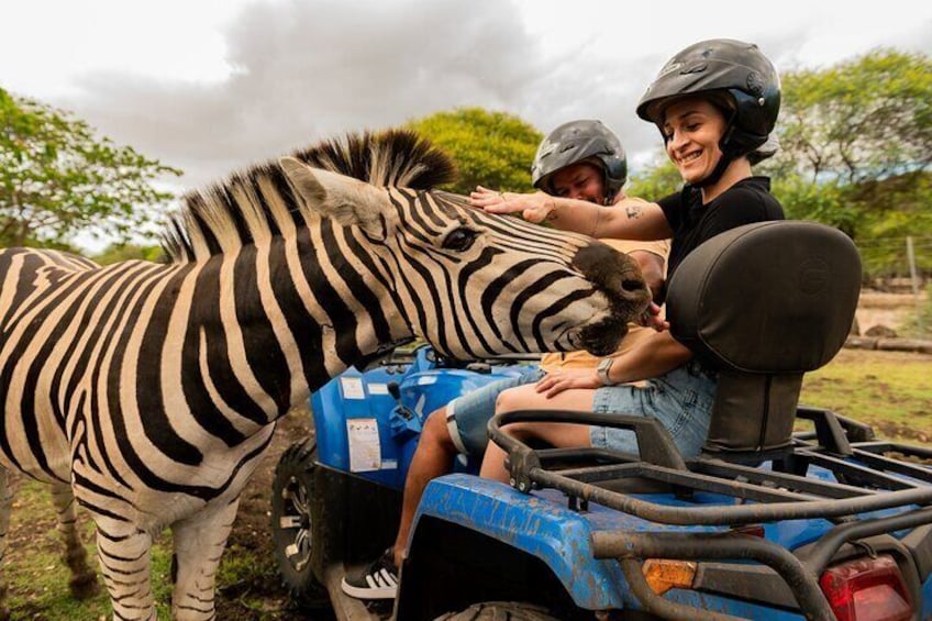 Casela World of Adventures, West of Mauritius