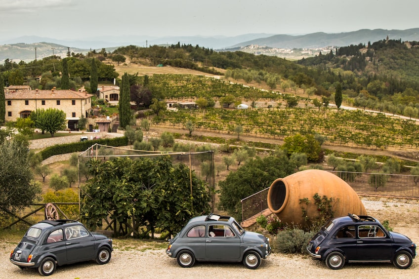 Vintage Fiat 500 Tuscany Drive with Winery Lunch from Siena