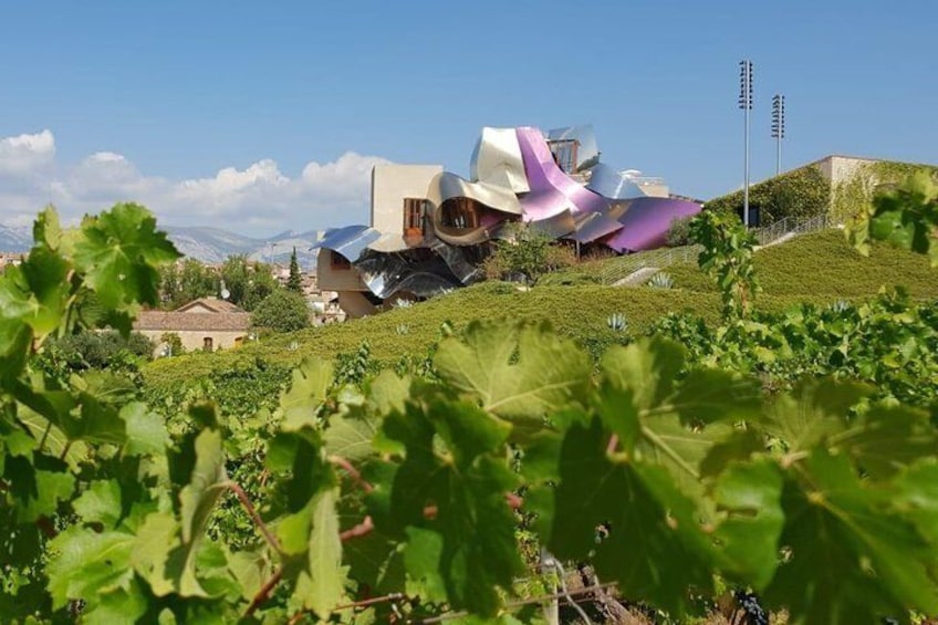 La Rioja two wineries visit with tasting and tapas in small group tour