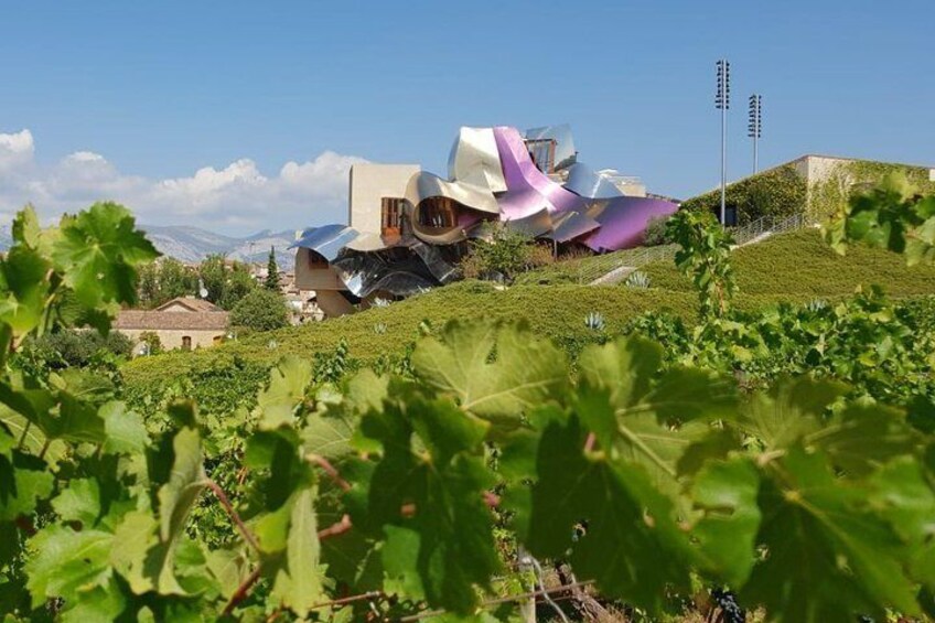 La Rioja two wineries visit with wine tasting and pintxos in small group tour