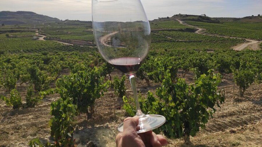 Rioja Wine Tour: Winery & Traditional Lunch From Pamplona