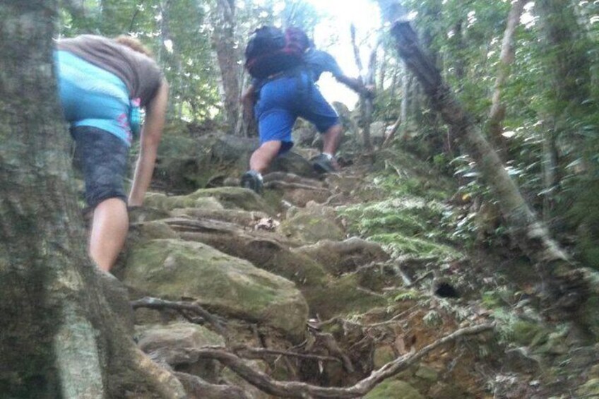 Hike Rope Ladders Miyazaki Japan