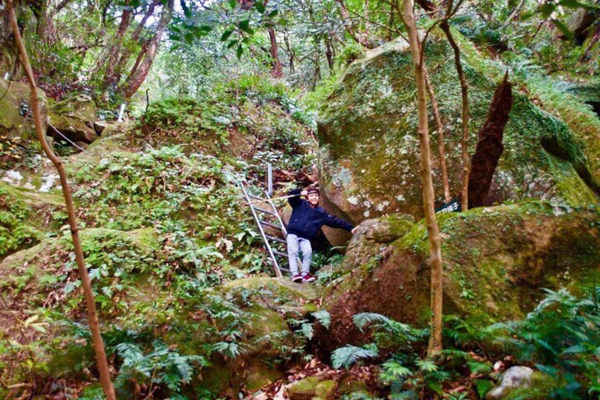 Hike Rope Ladders Miyazaki Japan