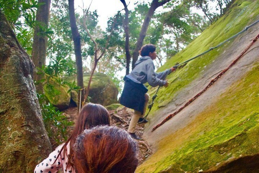 Hike Rope Ladders Miyazaki Japan