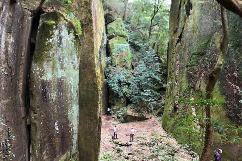 Hike Rope Ladders Miyazaki Japan