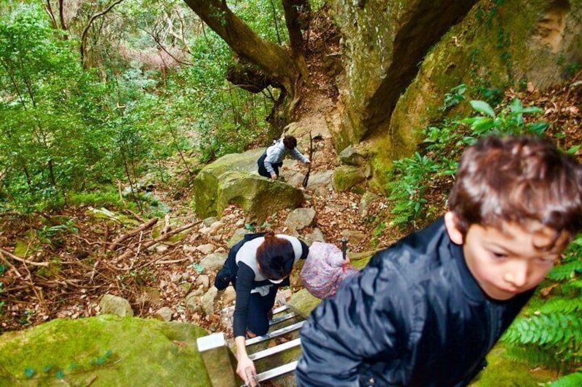Hike Rope Ladders Miyazaki Japan