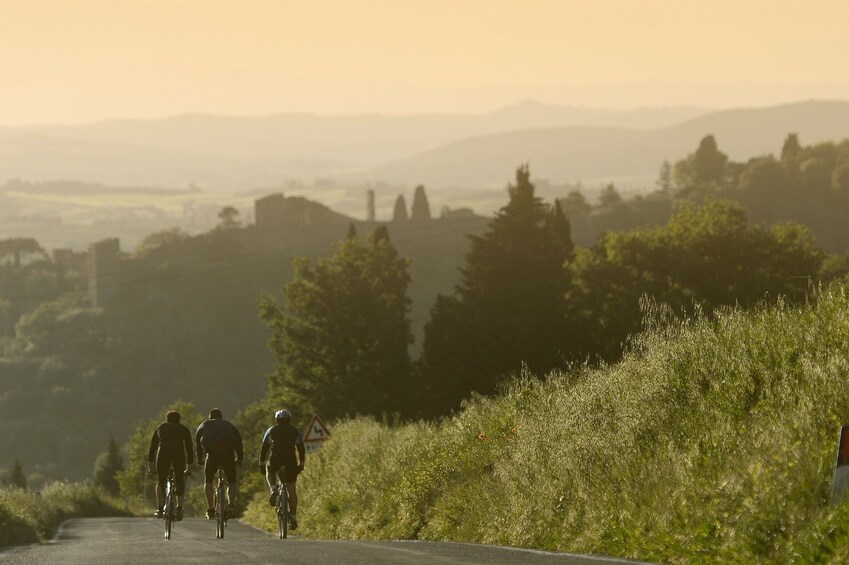 Full-Day Chianti Bike Tour from Siena