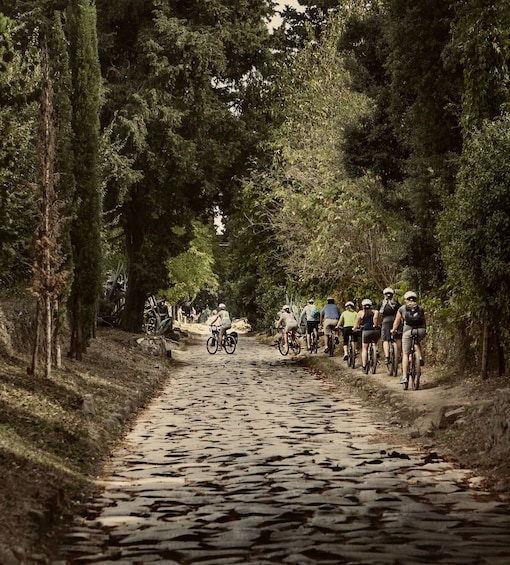 8-hour E-Mountain Bike tour to Castel Gandolfo 