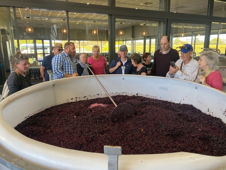 Barossa Valley Premium Wine Tour with Lunch from Adelaide