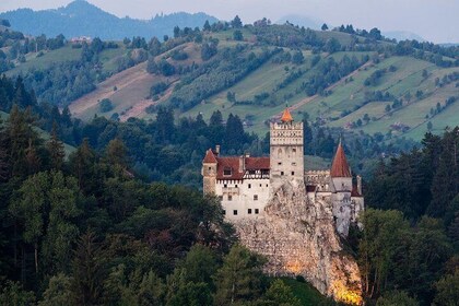 Private Trip to Dracula Castle and Brasov